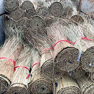 Sản phẩm thumbnail co tranh lop nha — Công Ty TNHH Dịch Vụ Phát Triển Huy Hoàng — MST 0315820359