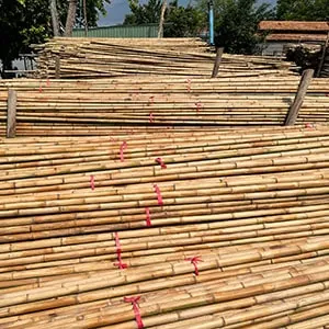 Sản phẩm thumbnail nguyen lieu tre truc — Công Ty TNHH Dịch Vụ Phát Triển Huy Hoàng — MST 0315820359