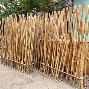 Sản phẩm thumbnail hang rao tre — Công Ty TNHH Dịch Vụ Phát Triển Huy Hoàng — MST 0315820359