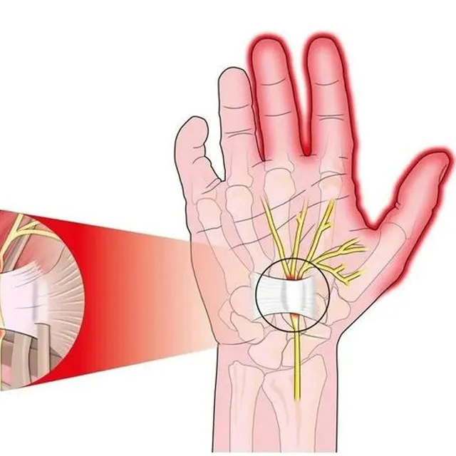 Sản phẩm hoi chung ong co tay — Công Ty TNHH Bà Tư Châu — MST 0315824064