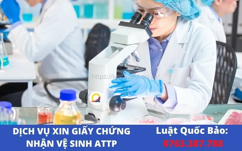 Sản phẩm giay phep ve sinh attp 9 — Công Ty TNHH Luật Quốc Bảo — MST 0315884930