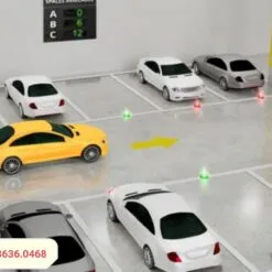 Sản phẩm he thong chi dan do xe tu dong 4 247x247 — Công Ty TNHH Giải Pháp Và Thiết Bị PTH Vina — MST 0315892307