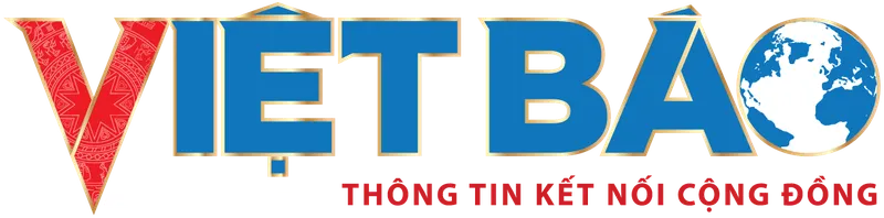 Sản phẩm baovietbao — Công Ty TNHH Tư Vấn Doanh Nghiệp Apolo — MST 0315892755
