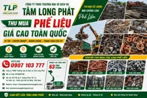 Văn phòng Công Ty TNHH Thương Mại Và Dịch Vụ Tâm Long Phát #1 — MST 0315893798