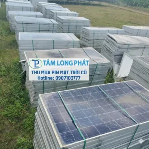 Sản phẩm thu mua pin nang luong TPHCM 300x300 — Công Ty TNHH Thương Mại Và Dịch Vụ Tâm Long Phát — MST 0315893798
