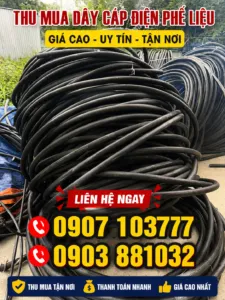 Sản phẩm thu mua day cap dien phe lieu gia cao 1 225x300 — Công Ty TNHH Thương Mại Và Dịch Vụ Tâm Long Phát — MST 0315893798