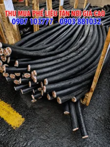 Sản phẩm thu mua phe lieu binh thuan 1 225x300 — Công Ty TNHH Thương Mại Và Dịch Vụ Tâm Long Phát — MST 0315893798