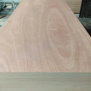 Sản phẩm van ep okome 300x300 — Công Ty TNHH Nội Thất Gỗ Đình Mạnh — MST 0315896365