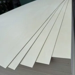 Sản phẩm z7232974778410_c68c53204d99a32f02721cba4e1527fa 300x300 — Công Ty TNHH Nội Thất Gỗ Đình Mạnh — MST 0315896365