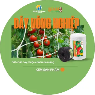 Sản phẩm 326x326 1743579641 single_pcat3 daynongnghiepavt2 — Công Ty TNHH Thương Mại Và Dịch Vụ Siam Brothers Việt Nam — MST 0315898154