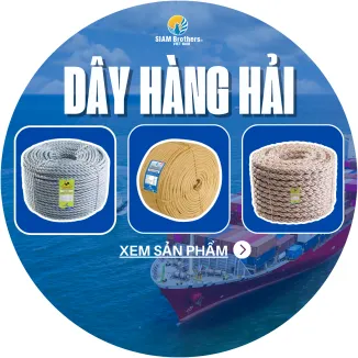 Sản phẩm 326x326 1743585674 single_pcat43 dayhanghaiavt4 — Công Ty TNHH Thương Mại Và Dịch Vụ Siam Brothers Việt Nam — MST 0315898154