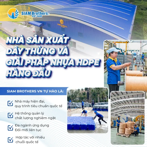 Sản phẩm 611x335 1773977464 single_html1 sbvnnews3 — Công Ty TNHH Thương Mại Và Dịch Vụ Siam Brothers Việt Nam — MST 0315898154