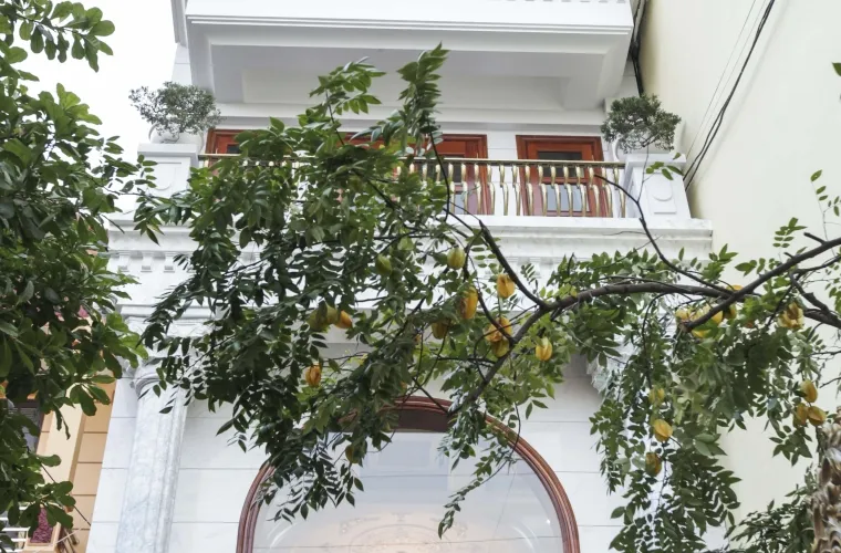 Sản phẩm img4366 8437 — Công Ty TNHH Xây Dựng Và Trang Trí Nội Thất Xuân Trúc — MST 0315900533