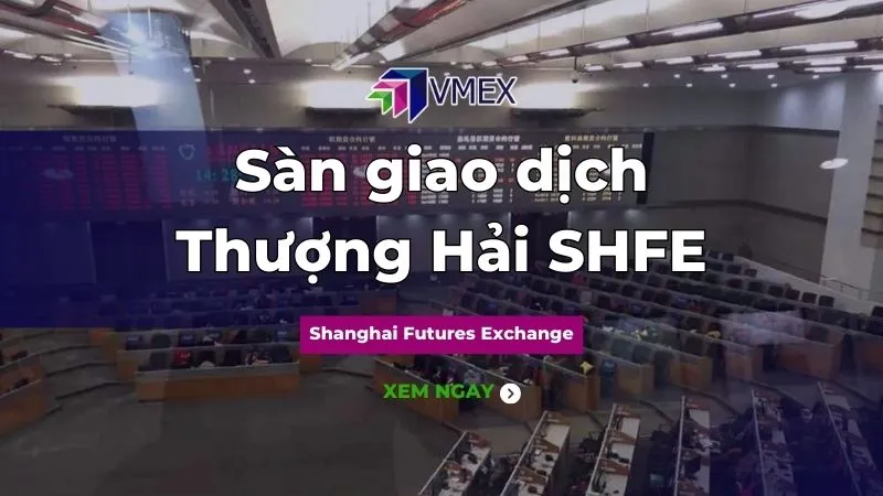 Sản phẩm san giao dich thuong hai — Công Ty CP Giao Dịch Hàng Hóa VMEX — MST 0315906398
