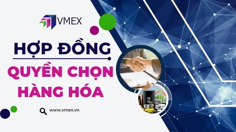 Sản phẩm hop dong quyen chon hang hoa tai mxv 2 — Công Ty CP Giao Dịch Hàng Hóa VMEX — MST 0315906398