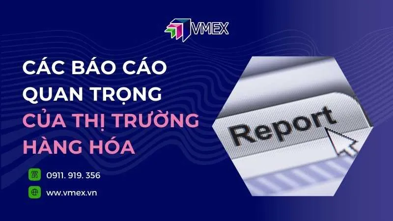 Sản phẩm 59 — Công Ty CP Giao Dịch Hàng Hóa VMEX — MST 0315906398