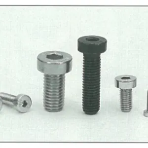 Sản phẩm bu long luc giac chim dau mong 300x300 — Công Ty TNHH VLXD Vina CMC — MST 0315908155