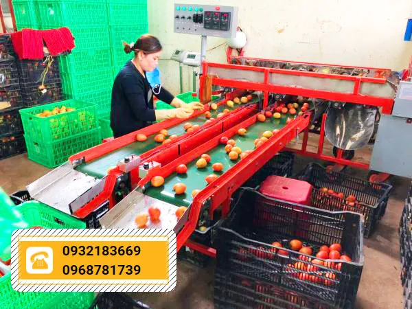 Sản phẩm he thong tu dong phan loai — Công Ty TNHH SX KD XNK Đại Phát Long — MST 0315915561