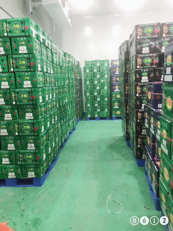 Sản phẩm z5461862631029_aa40cac94ea6560d7bce6748300cd1b9 — Công Ty TNHH Thương Mại Kỹ Thuật Savico — MST 0315918058