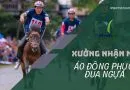 Sản phẩm dong phuc choi dua ngua 16 130x90 — Công Ty Cổ Phần Sản Xuất Thương Mại Và Xuất Nhập Khẩu Yes — MST 0315920579