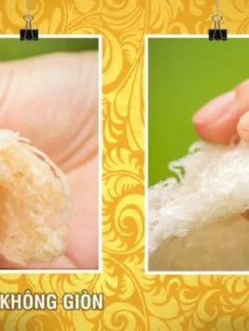 Sản phẩm 2793017821490876742862696337765735787503132n 1767 — Công Ty TNHH Đầu Tư Và Phát Triển Lê Dương — MST 0315932479