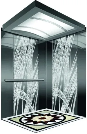 Sản phẩm cabin thang máy tải khách HS CB11 300x460 — Thang Máy VINATECH - Công Ty TNHH Thang Máy VINATECH — MST 0315938840