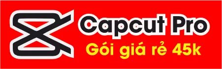 Sản phẩm capcut gia re ok1 — Công Ty TNHH Sản Xuất Thương Mại Thanh Thịnh Phát — MST 0315964569