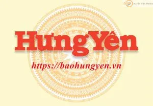 Sản phẩm bao hung yen 300x207 — Xuyên Việt Media - Công Ty TNHH Thương Mại Dịch Vụ Xuyên Việt Media — MST 0315964953