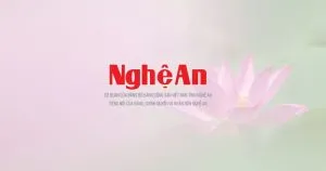 Sản phẩm bao nghe an 300x158 — Xuyên Việt Media - Công Ty TNHH Thương Mại Dịch Vụ Xuyên Việt Media — MST 0315964953