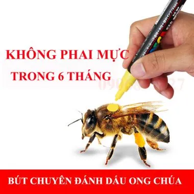 Sản phẩm but danh ong chua 0 item pic — Công Ty TNHH Thương Mại Dịch Vụ Mật Ong Thảo Mộc — MST 0315970315
