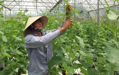 Sản phẩm thu phan — Công Ty TNHH Thương Mại Dịch Vụ Mật Ong Thảo Mộc — MST 0315970315