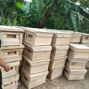 Sản phẩm thung nuoi ong ngoai — Công Ty TNHH Thương Mại Dịch Vụ Mật Ong Thảo Mộc — MST 0315970315