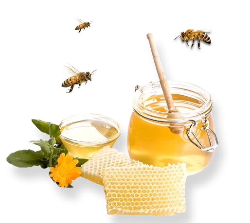 Sản phẩm item bg — Công Ty TNHH Thương Mại Dịch Vụ Mật Ong Thảo Mộc — MST 0315970315