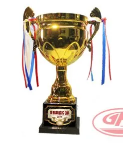 Sản phẩm cup vo dich mau 3 247x296 — Công Ty TNHH Đầu Tư Thương Mại Dịch Vụ Sản Xuất Gia Hân — MST 0315982399