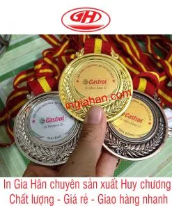 Sản phẩm huy chuong 1 247x296 — Công Ty TNHH Đầu Tư Thương Mại Dịch Vụ Sản Xuất Gia Hân — MST 0315982399