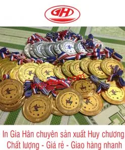 Sản phẩm huy chuong bong da 247x296 — Công Ty TNHH Đầu Tư Thương Mại Dịch Vụ Sản Xuất Gia Hân — MST 0315982399