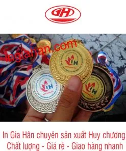 Sản phẩm huy chuong bong da DHCN 247x296 — Công Ty TNHH Đầu Tư Thương Mại Dịch Vụ Sản Xuất Gia Hân — MST 0315982399