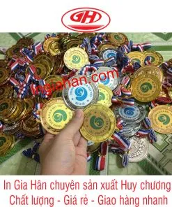 Sản phẩm huy chuong thi dua 247x296 — Công Ty TNHH Đầu Tư Thương Mại Dịch Vụ Sản Xuất Gia Hân — MST 0315982399
