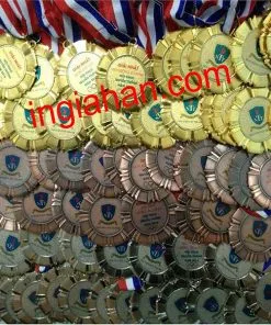 Sản phẩm mau huy chuong hoi thao 247x296 — Công Ty TNHH Đầu Tư Thương Mại Dịch Vụ Sản Xuất Gia Hân — MST 0315982399