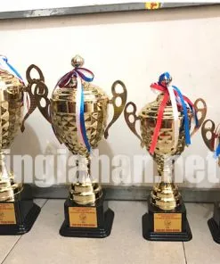 Sản phẩm cup the thao 3 247x296 — Công Ty TNHH Đầu Tư Thương Mại Dịch Vụ Sản Xuất Gia Hân — MST 0315982399