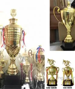 Sản phẩm cup the thao kim loai 1 247x296 — Công Ty TNHH Đầu Tư Thương Mại Dịch Vụ Sản Xuất Gia Hân — MST 0315982399