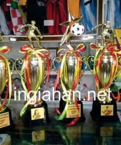 Sản phẩm cup the thao kim loai 2 247x296 — Công Ty TNHH Đầu Tư Thương Mại Dịch Vụ Sản Xuất Gia Hân — MST 0315982399