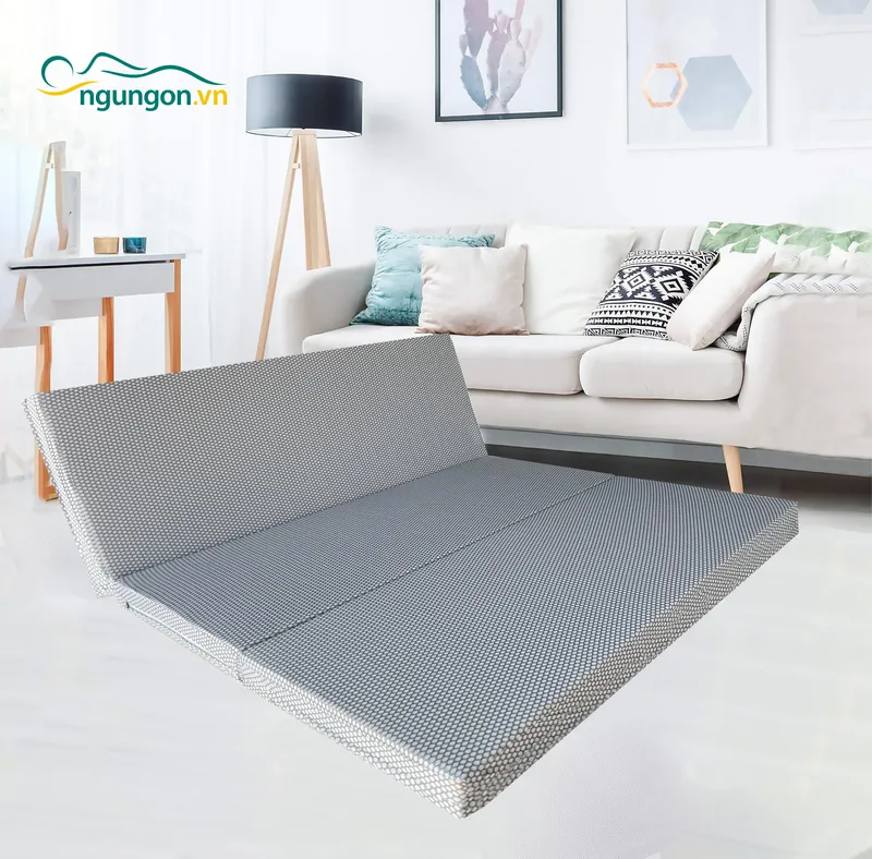 Sản phẩm 30 — Nệm Ngủ Ngon - Công Ty TNHH Sản Xuất Thương Mại Nệm MIMOSA — MST 0315987622