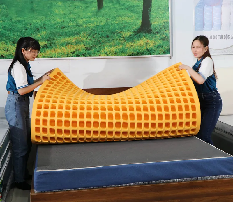 Sản phẩm nem cao su thien nhien avendor sp — Nệm Ngủ Ngon - Công Ty TNHH Sản Xuất Thương Mại Nệm MIMOSA — MST 0315987622