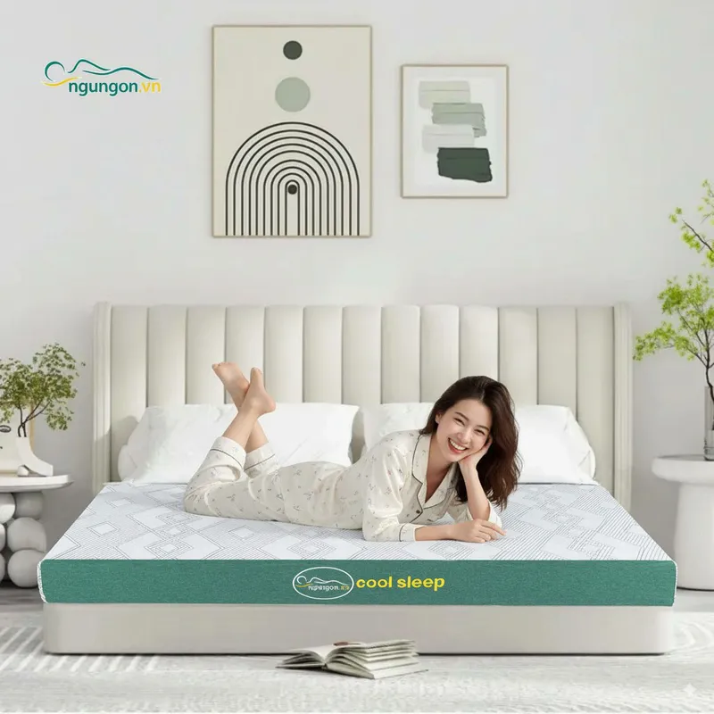 Sản phẩm nem cao su foam cool sleep 221 — Nệm Ngủ Ngon - Công Ty TNHH Sản Xuất Thương Mại Nệm MIMOSA — MST 0315987622