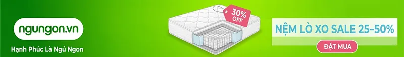 Sản phẩm chon nem lo xo — Nệm Ngủ Ngon - Công Ty TNHH Sản Xuất Thương Mại Nệm MIMOSA — MST 0315987622