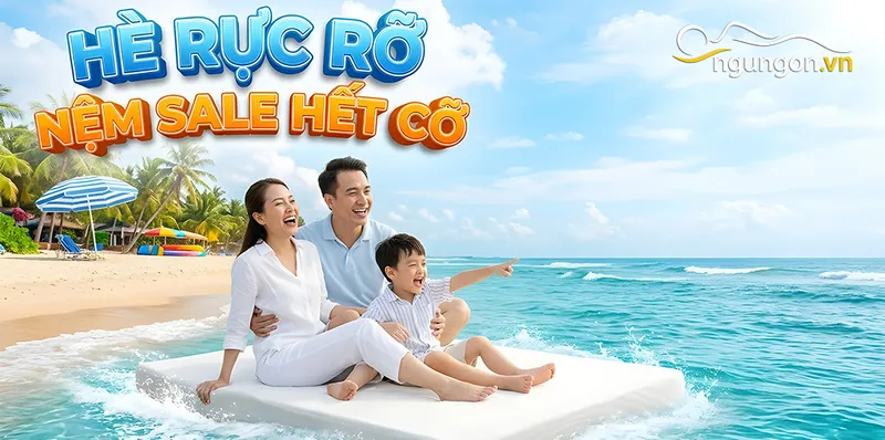Sản phẩm he ruc ro sale nem — Nệm Ngủ Ngon - Công Ty TNHH Sản Xuất Thương Mại Nệm MIMOSA — MST 0315987622