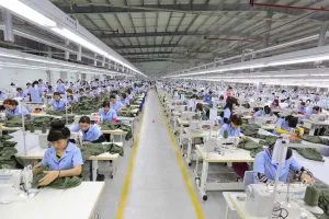Văn phòng Công Ty TNHH May Mặc Yến Linh #300 — MST 0315991837
