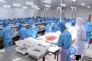Văn phòng Công Ty TNHH May Mặc Yến Linh #300 — MST 0315991837