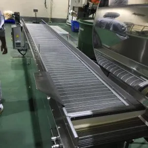 Sản phẩm Băng tải xích lưới inox 300x300 — Công Ty TNHH Kỹ Thuật Băng Tải CXN — MST 0316014778